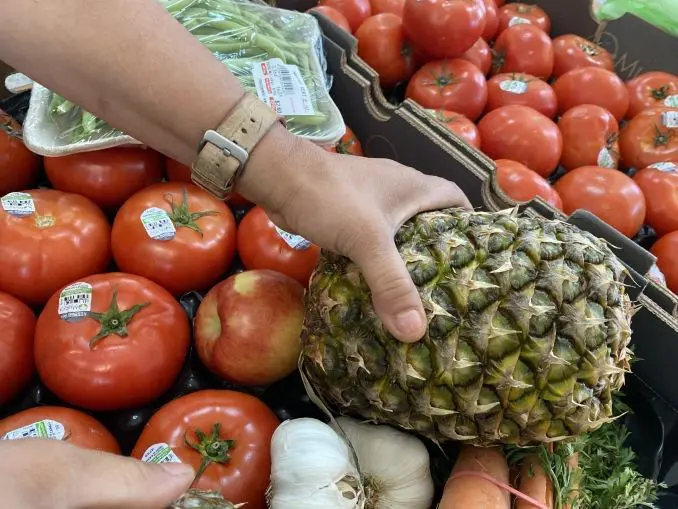 Le Pôle logistique alimentaire de Rosemont