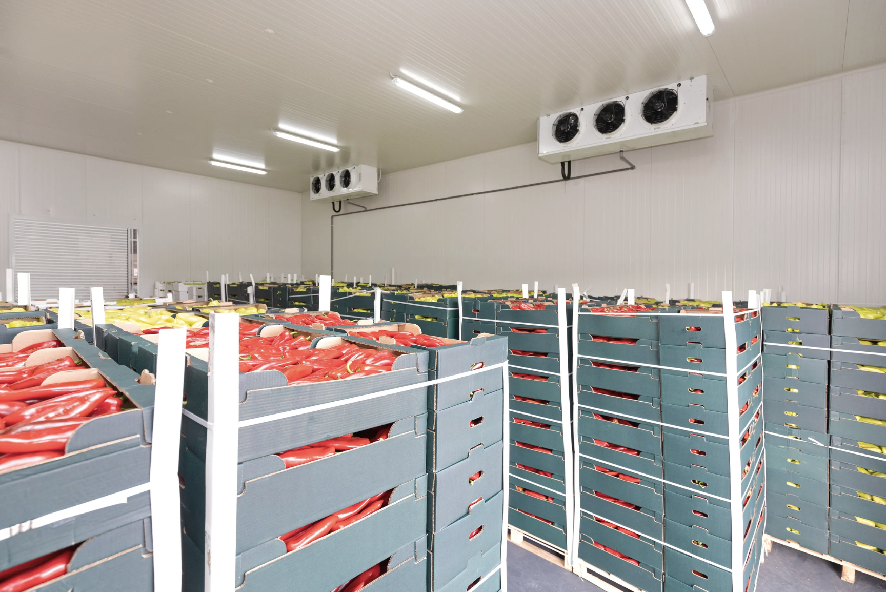 Système alimentaire local et intégré à Montréal (SALIM)