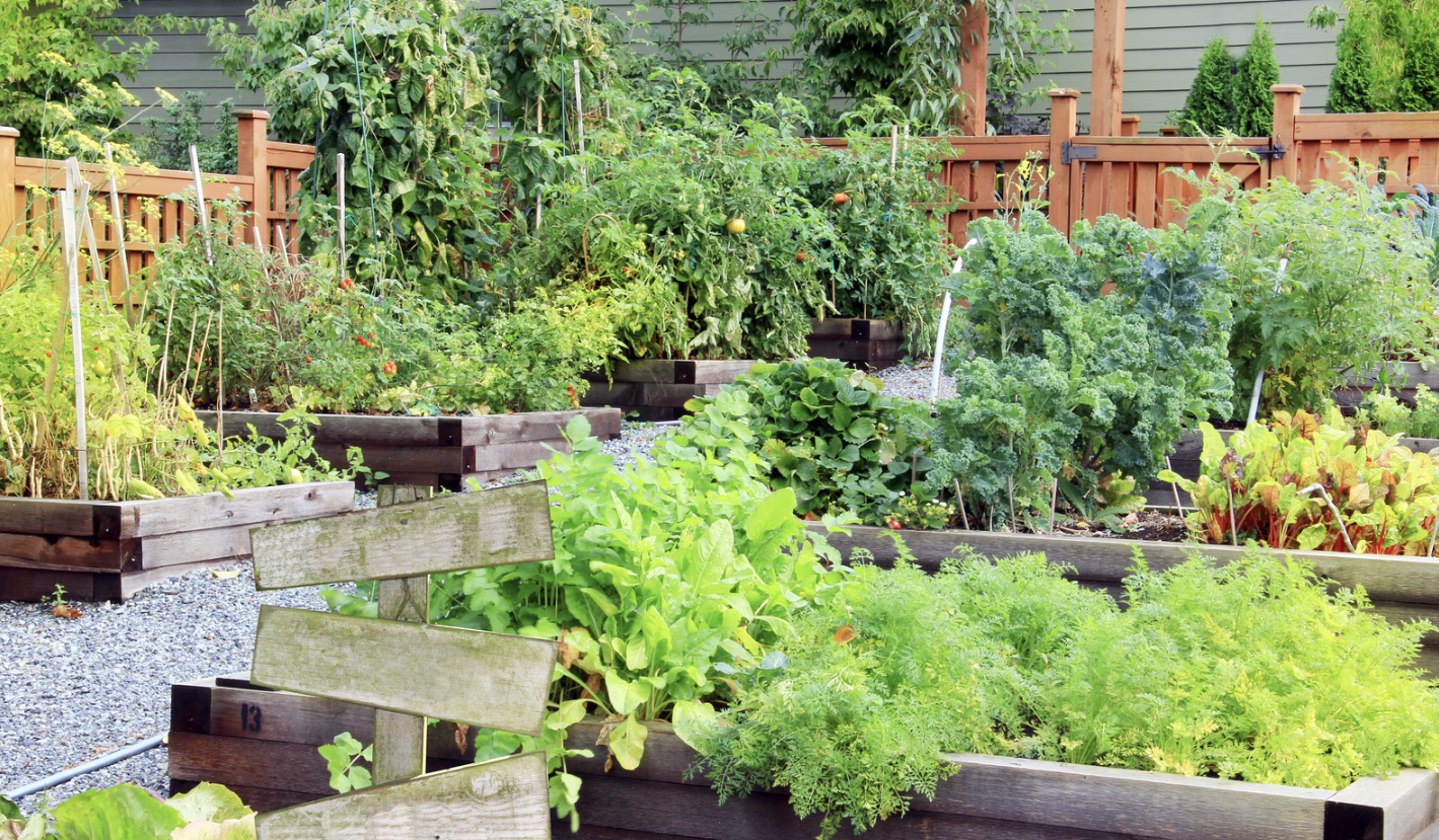 Démarche de communautés nourricières