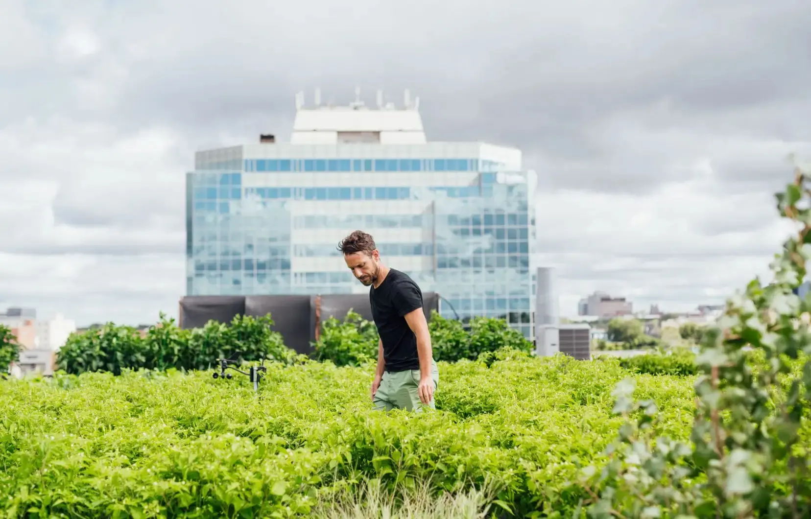 Projet de transfert de connaissances de la Centrale agricole