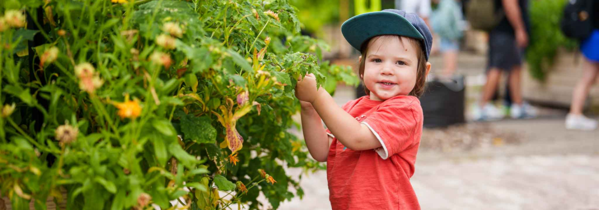 Entretien du Potager Techno