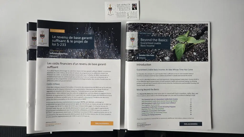 Projet de loi revenu minimum de base