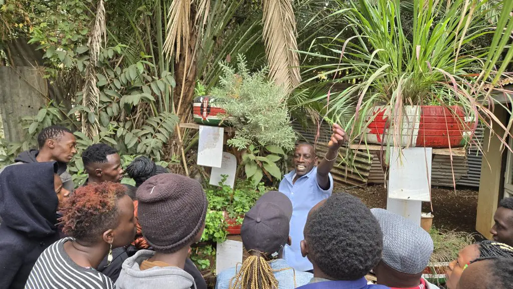 Formation sur la production de fines herbes