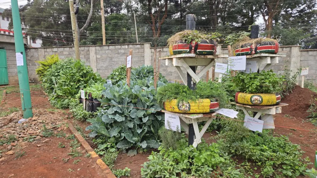 Centre de formation en agriculture urbaine dans l'est de Nairobi