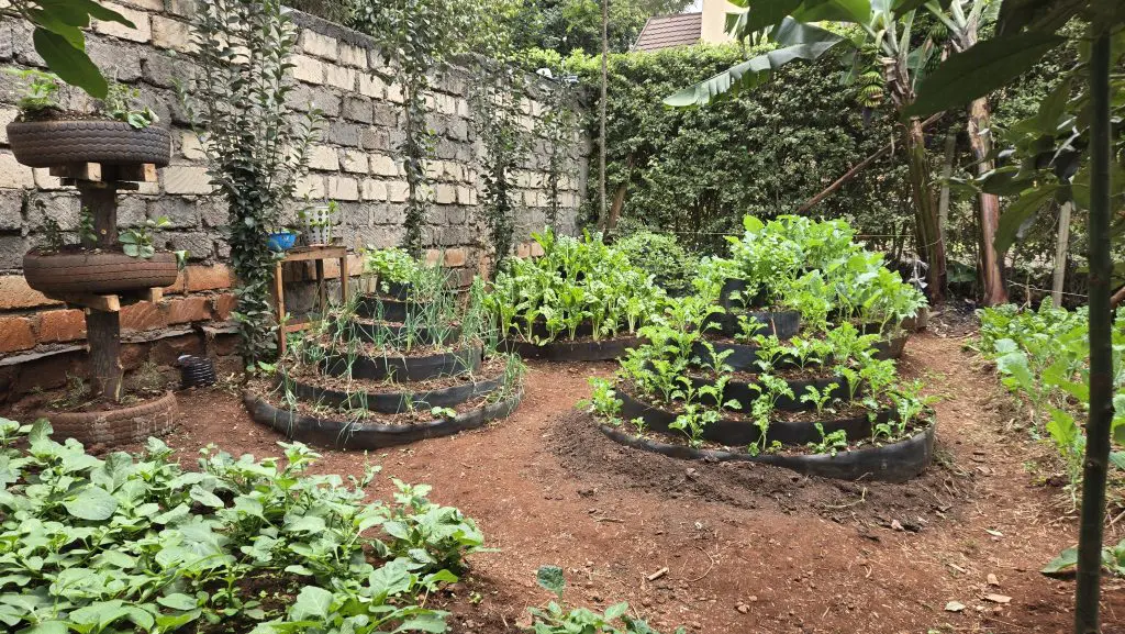 Production hyperdiversifée et optimisée dans le quartier Karen