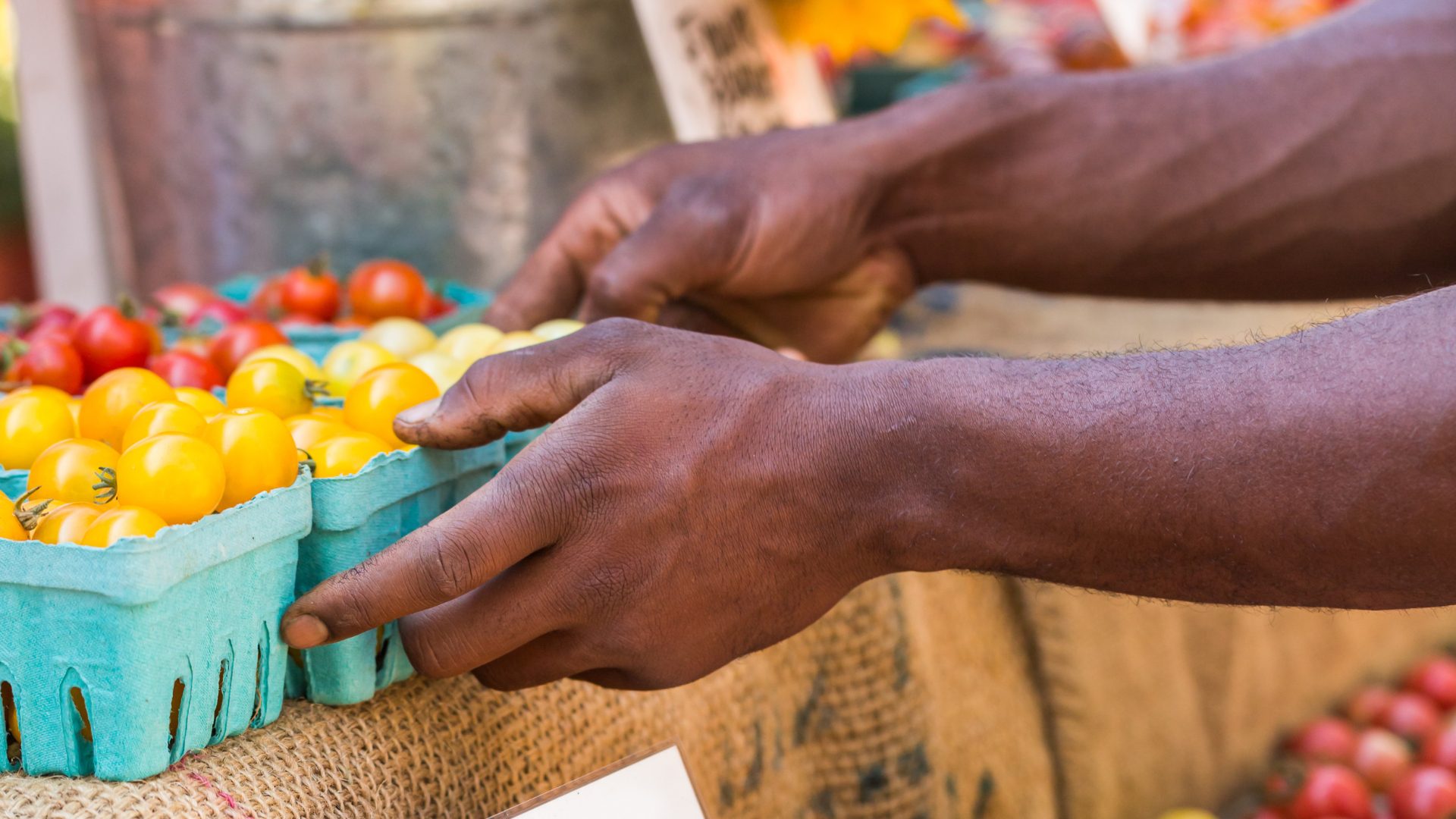 Réseau de solidarité alimentaire de Parc-Extension